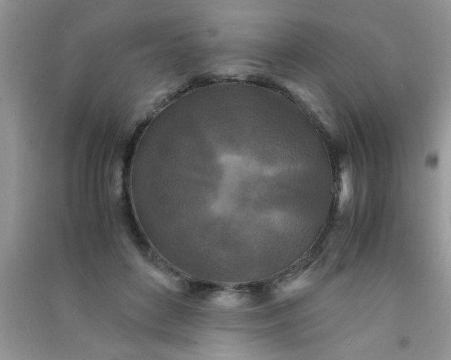 X0000090990504200708161920