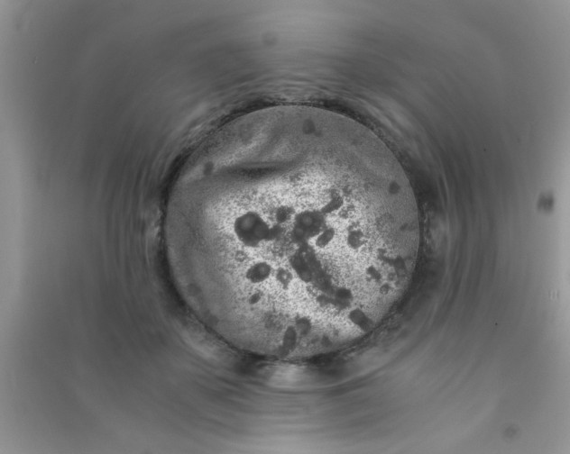 X0000090990507200708161920