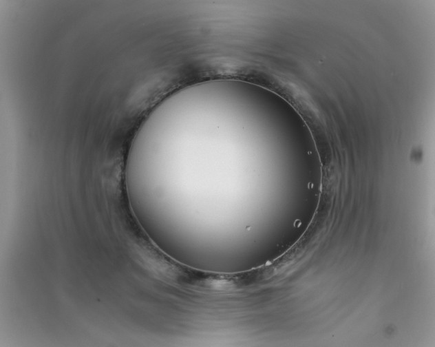 X0000090990509200708161920