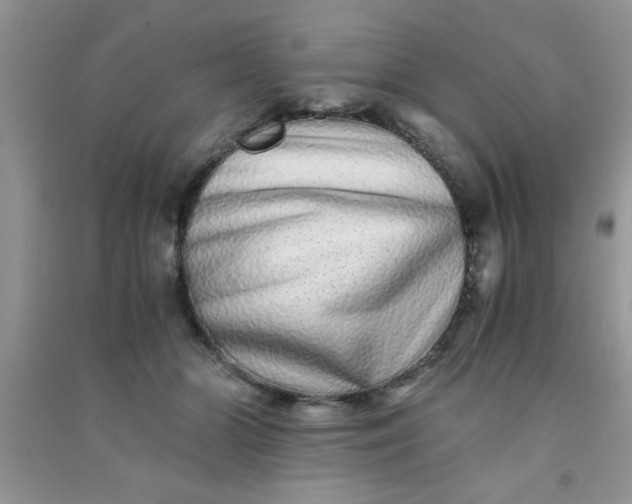 X0000090990510200708161920