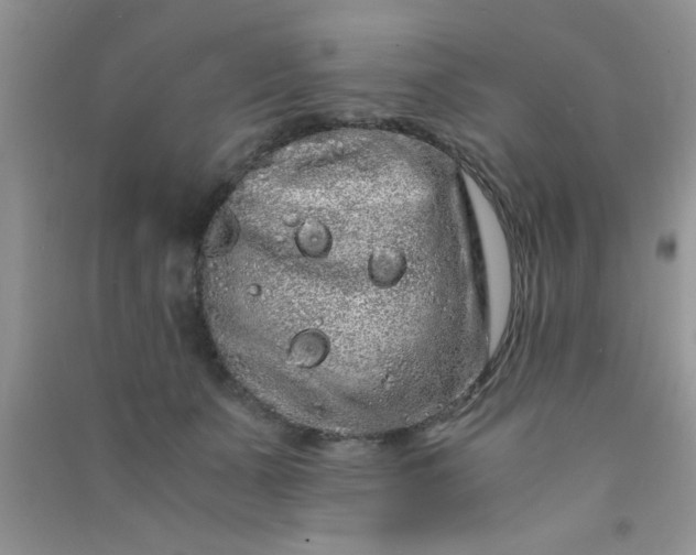 X0000090990511200708161920