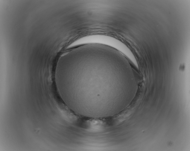 X0000090990512200708161920