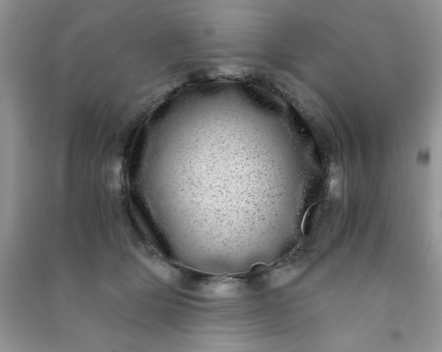 X0000090990514200708161920