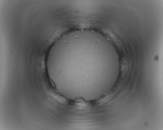 X0000090990516200708161920