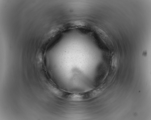 X0000090990518200708161920