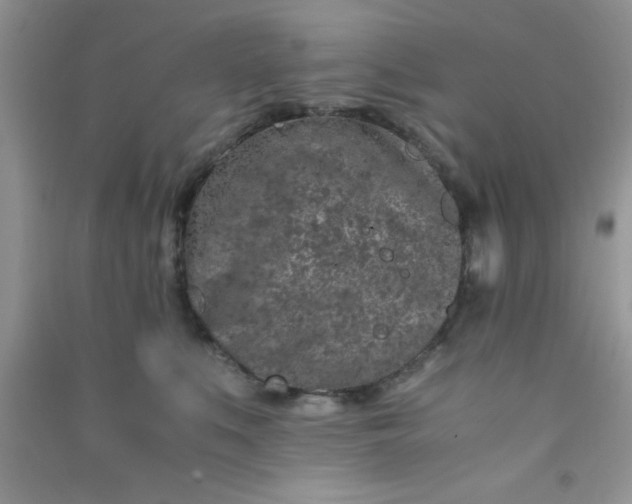 X0000090990519200708161920