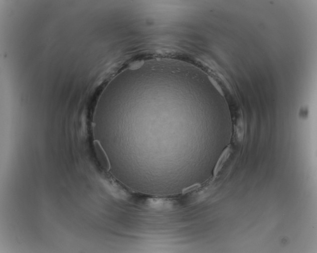 X0000090990520200708161920