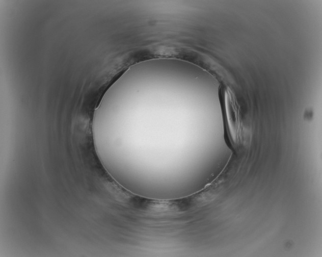 X0000090990521200708161920