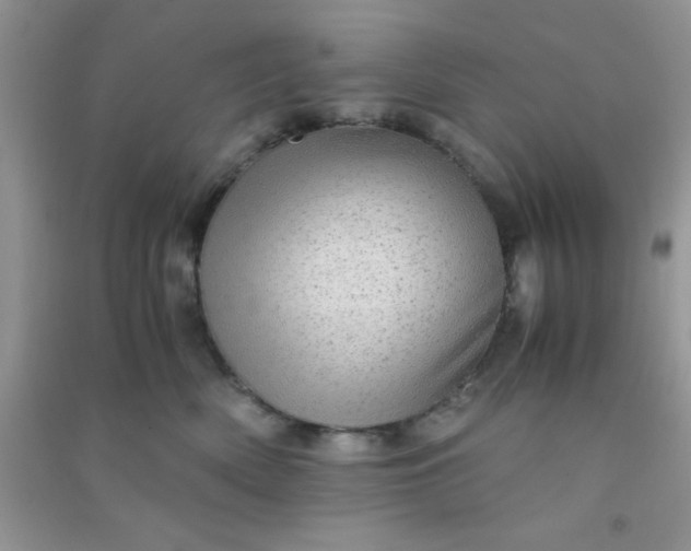 X0000090990522200708161920