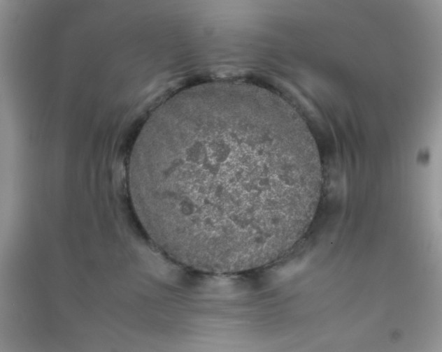 X0000090990523200708161920