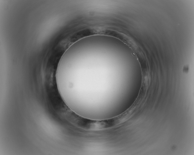 X0000090990525200708161920