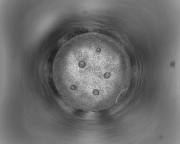 X0000090990527200708161920