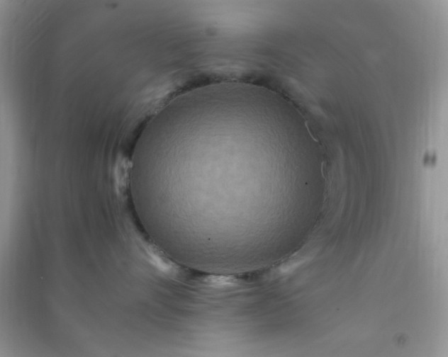 X0000090990528200708161920