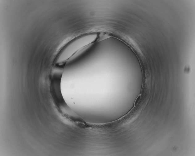 X0000090990530200708161919