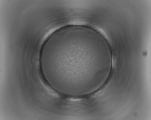 X0000090990531200708161919