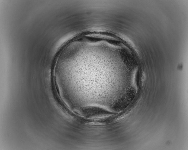 X0000090990535200708161919