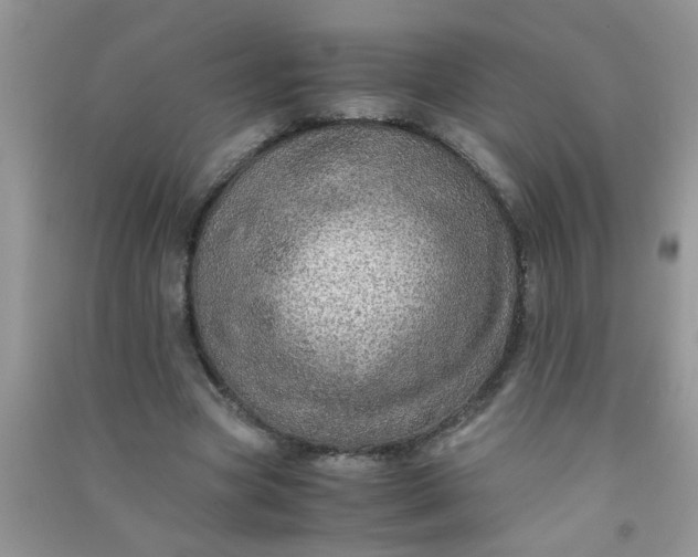 X0000090990537200708161919