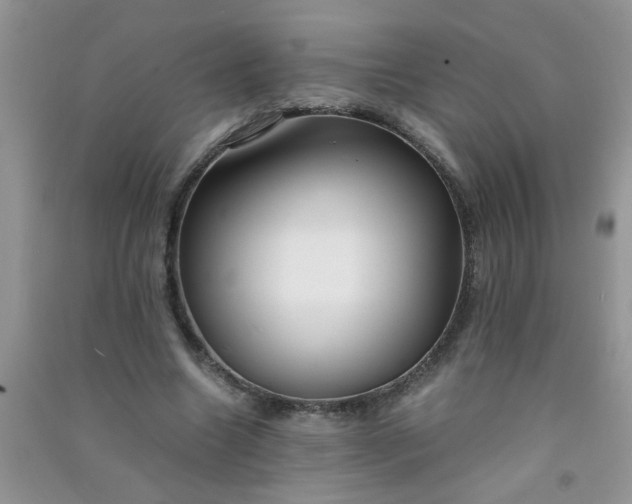X0000090990538200708161919