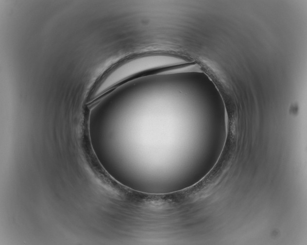 X0000090990540200708161919