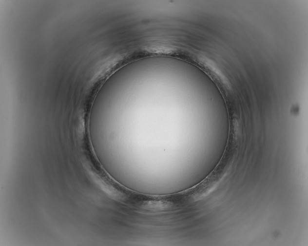 X0000090990541200708161919