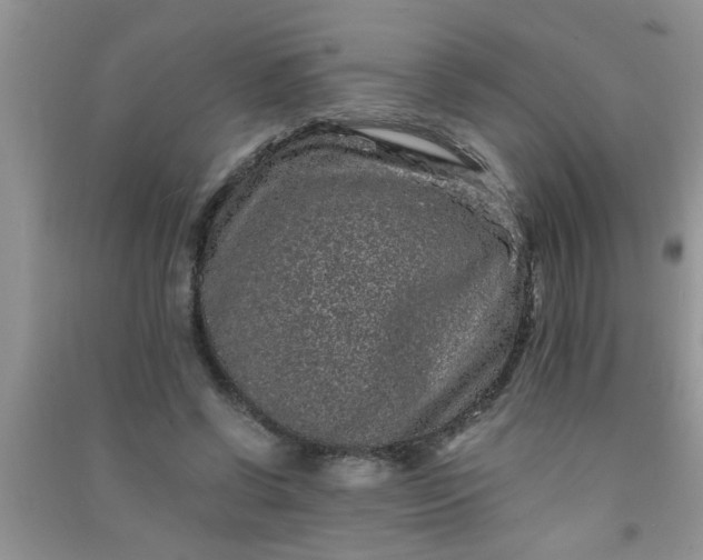 X0000090990542200708161919