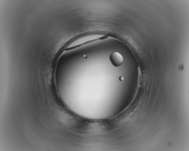 X0000090990544200708161919