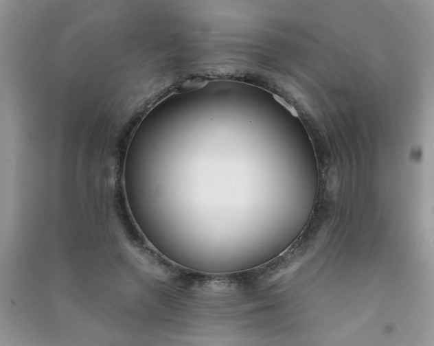 X0000090990546200708161919