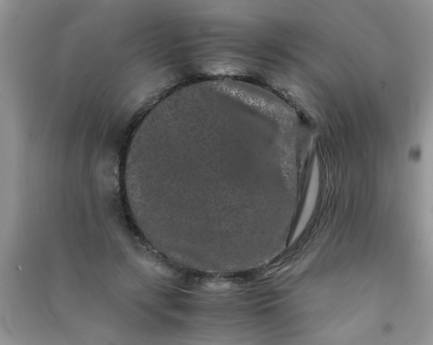 X0000090990547200708161919