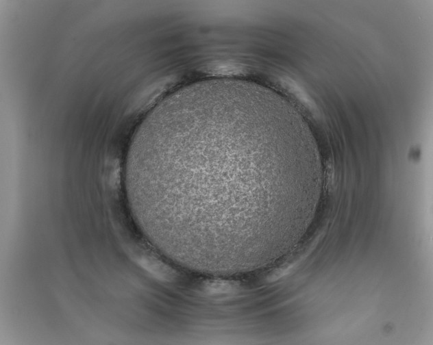 X0000090990549200708161919