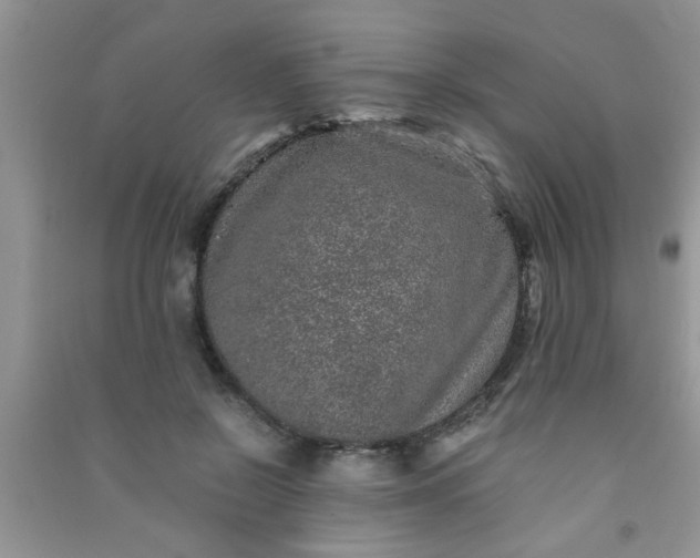 X0000090990550200708161919