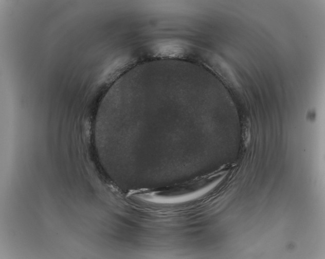 X0000090990551200708161919
