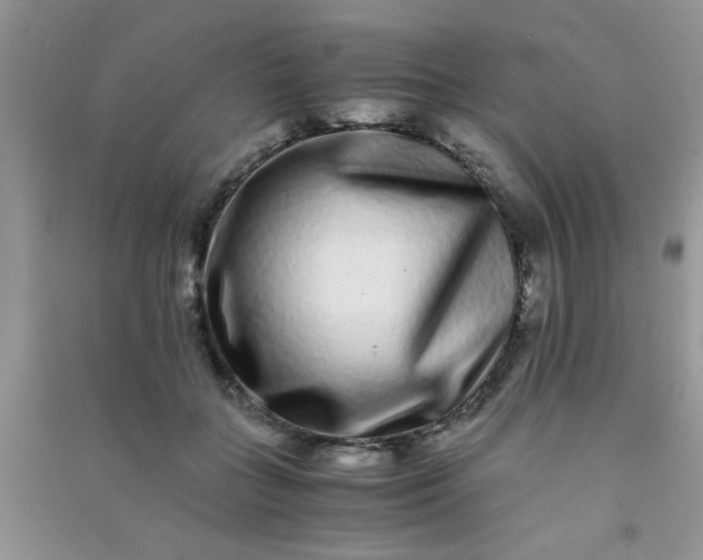 X0000090990555200708161919