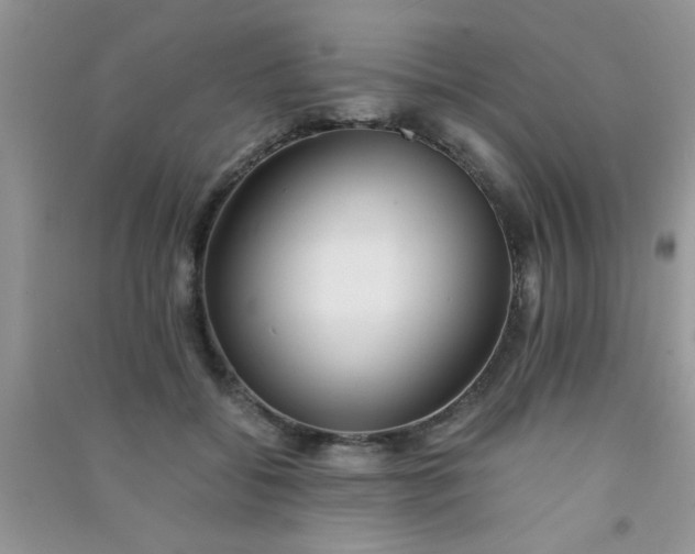 X0000090990556200708161919