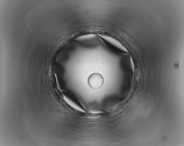X0000090990560200708161919