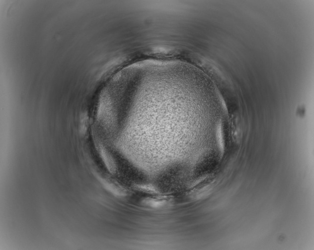 X0000090990563200708161919