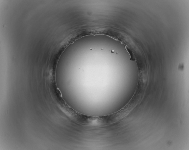 X0000090990564200708161919