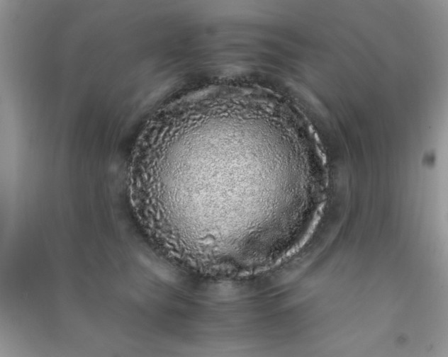 X0000090990565200708161919