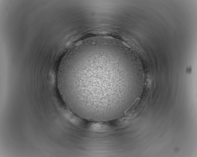 X0000090990568200708161919