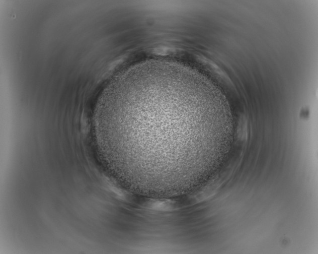 X0000090990569200708161919