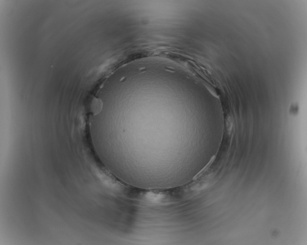 X0000090990570200708161919