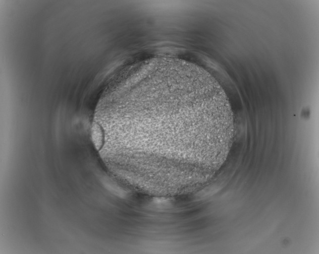 X0000090990573200708161919