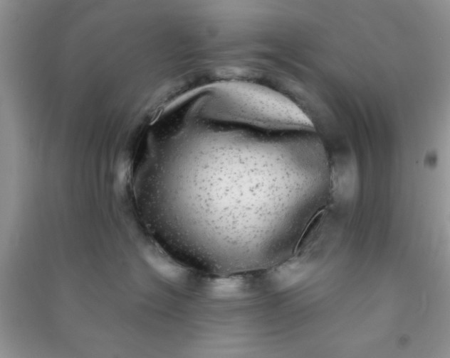X0000090990574200708161919