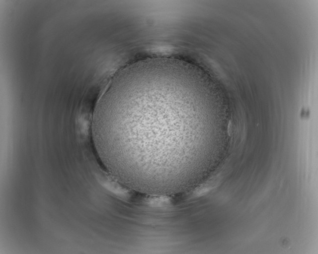 X0000090990576200708161920