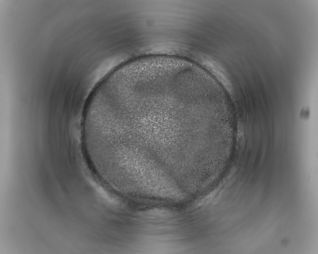 X0000090990578200708161919