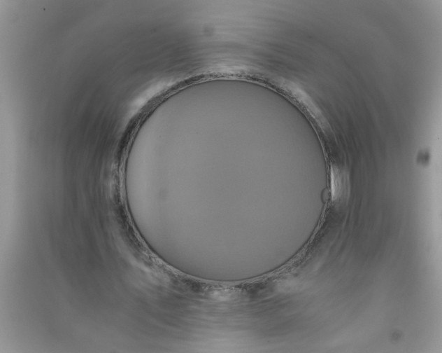 X0000090990579200708161919