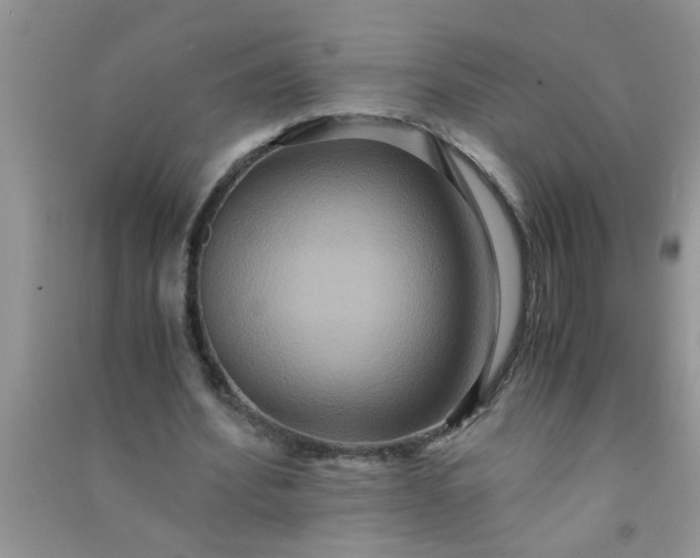 X0000090990580200708161919
