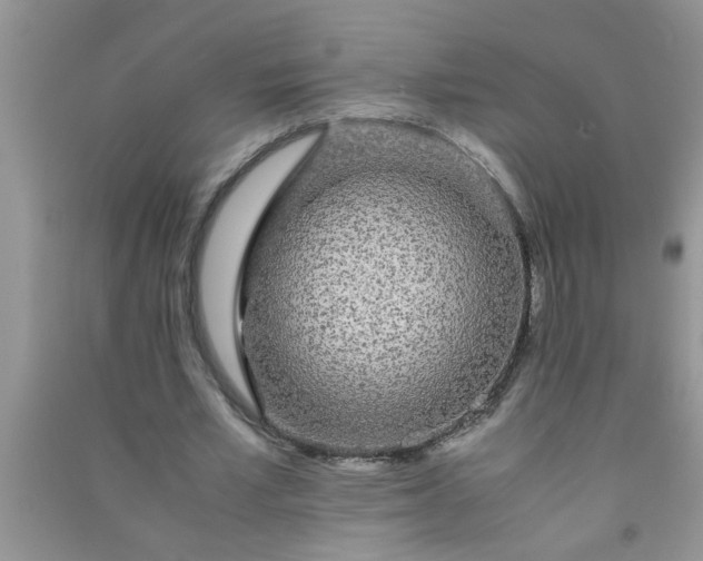 X0000090990581200708161919