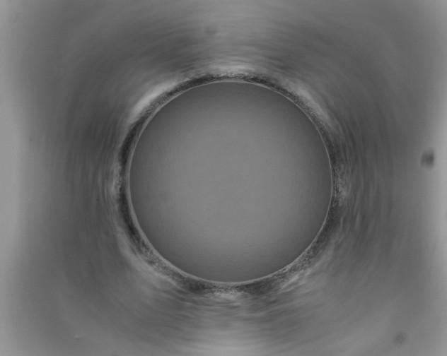 X0000090990583200708161919