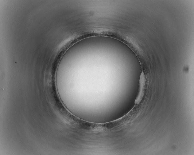 X0000090990587200708161919