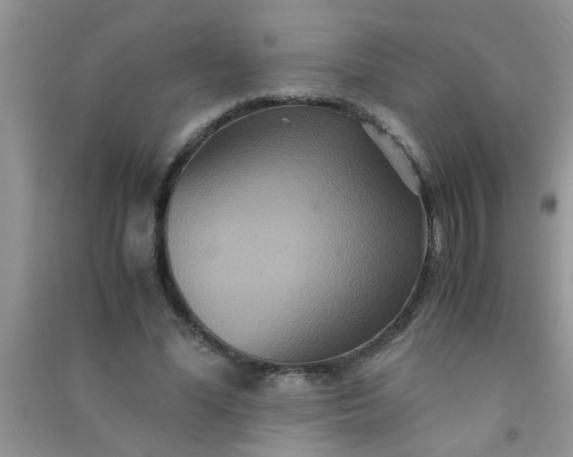 X0000090990588200708161919